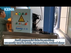 वाणिज्यिक मीठे पानी की परत बर्फ मशीन होटल के उपयोग के लिए छोटे परत बर्फ निर्माता परत बर्फ संयंत्र