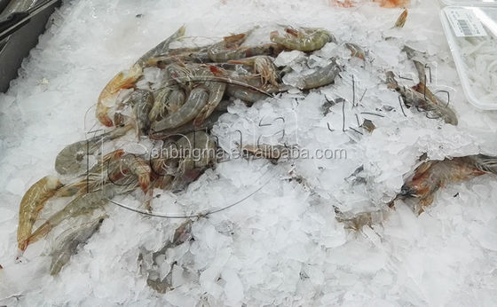 1 टन मीठे पानी की परत वाली बर्फ मशीन वाणिज्यिक 380V 220V