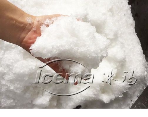 नौ टन प्रति घंटा की क्षमता वाली पोर्टेबल स्टेनलेस स्टील आईसीईएमए मिनी आइस मेकर मशीन