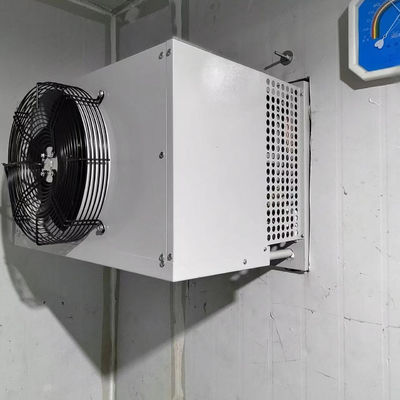 औद्योगिक कोल्ड रूम फ्रीजर बाष्पीकरणीय संघनक इकाई